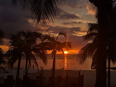 mauritius-tavr-12